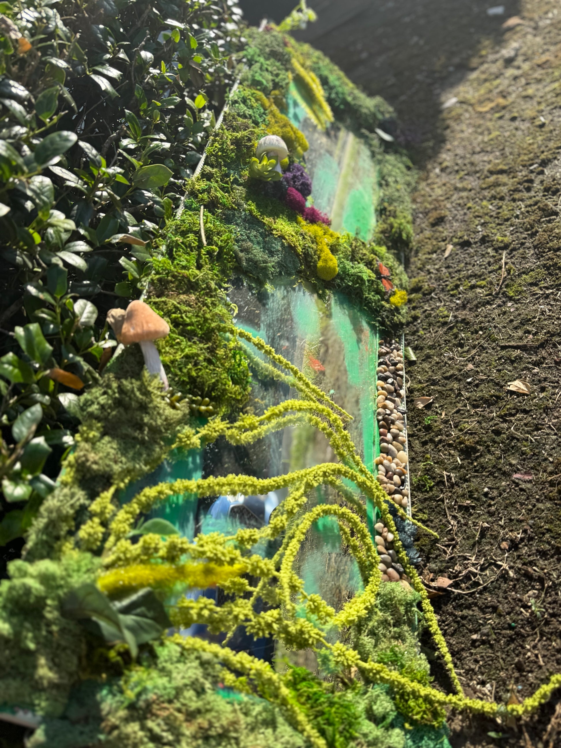 Forest Floor Oracle image 3