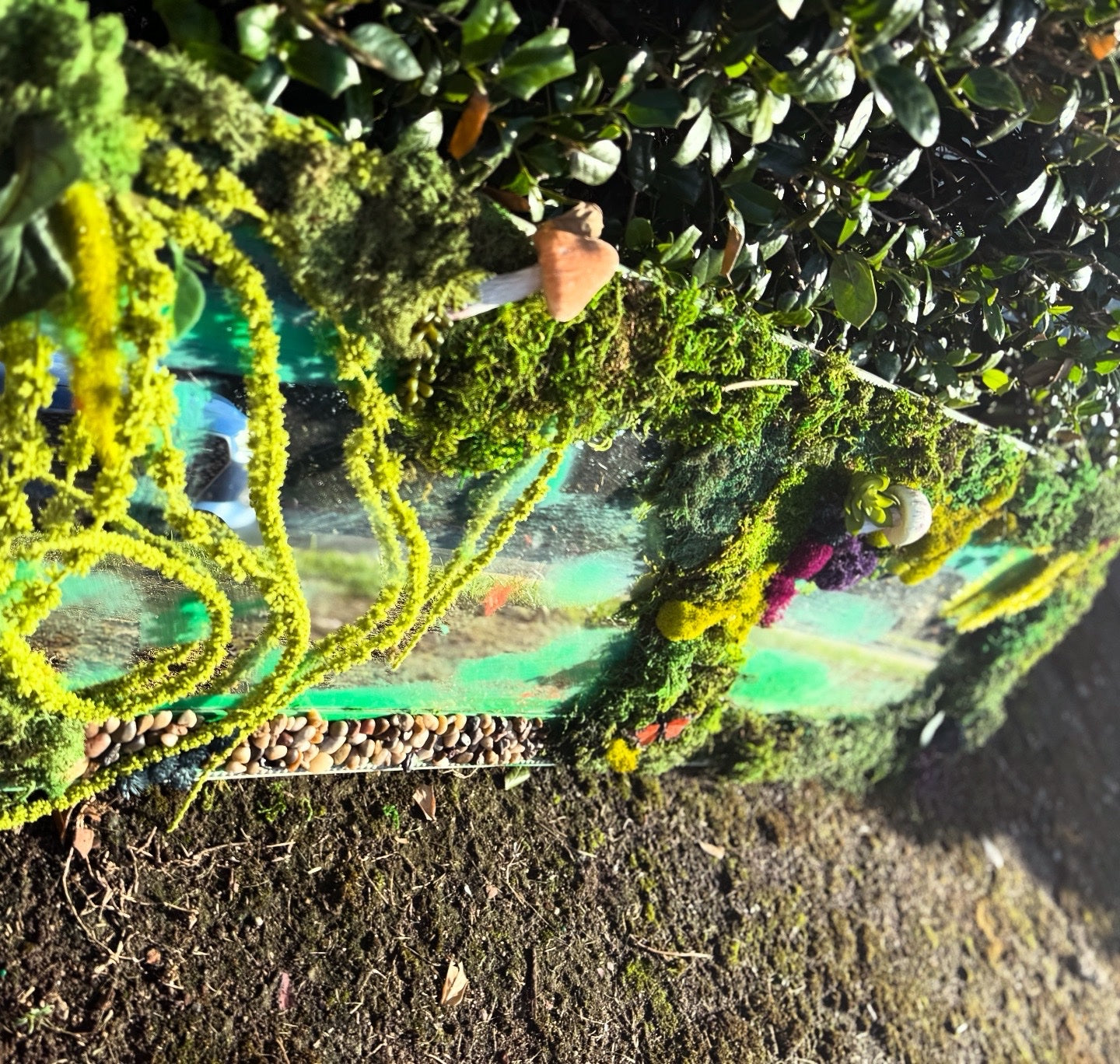 Forest Floor Oracle image 0