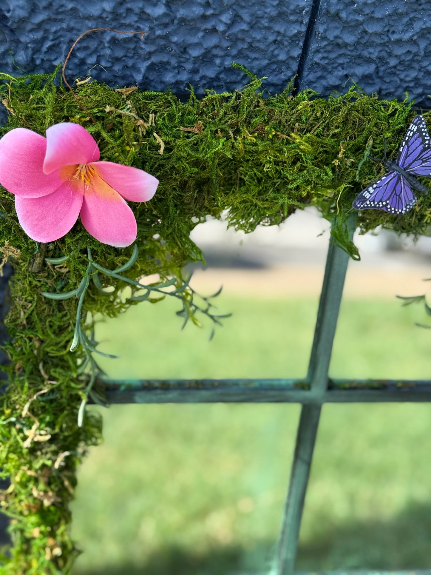 Fae Reflections image 3