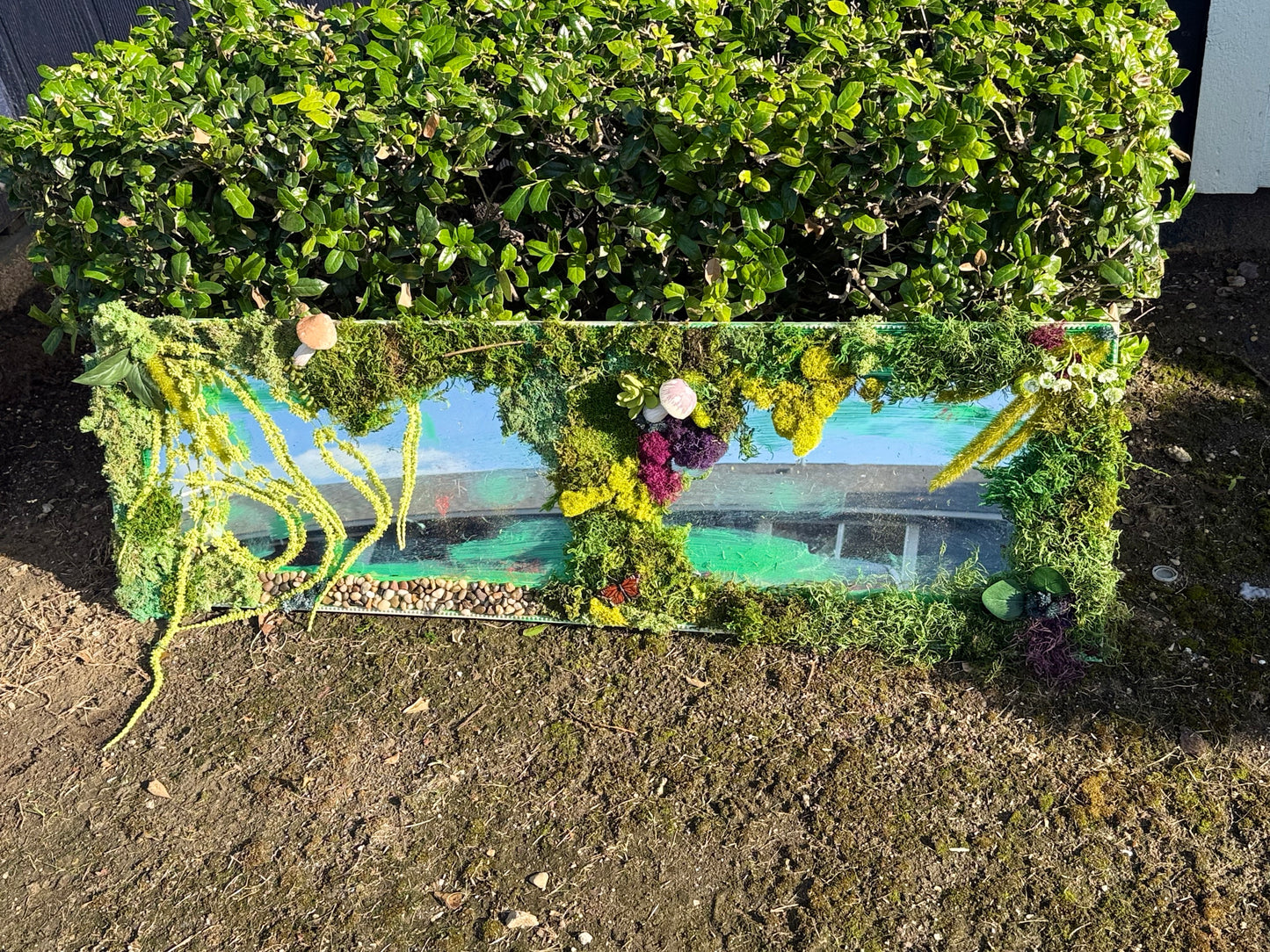 Forest Floor Oracle image 4