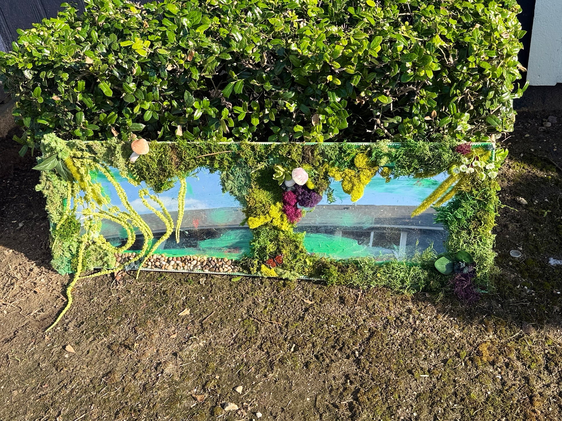 Forest Floor Oracle image 4