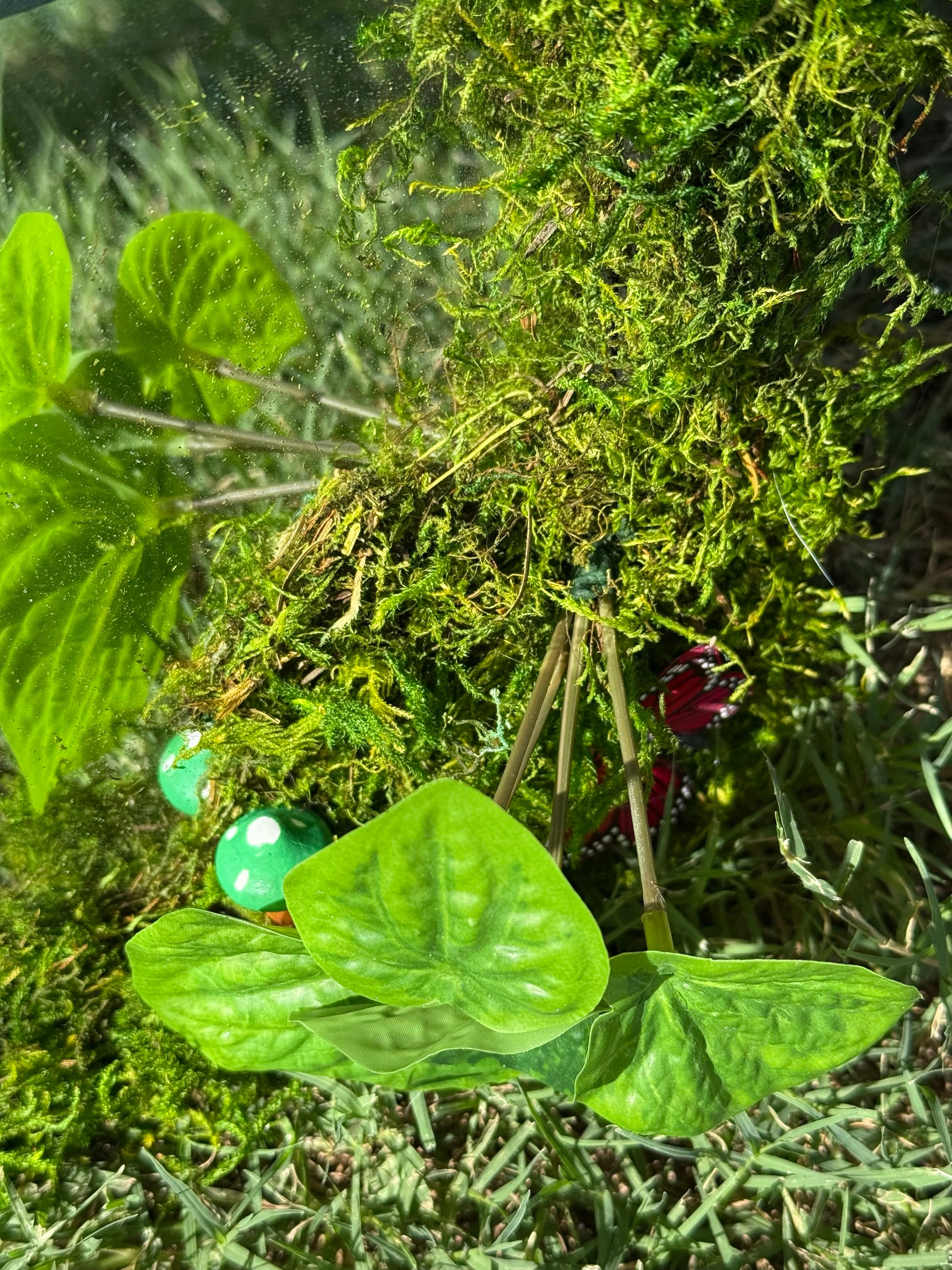 Fae Reflections image 5