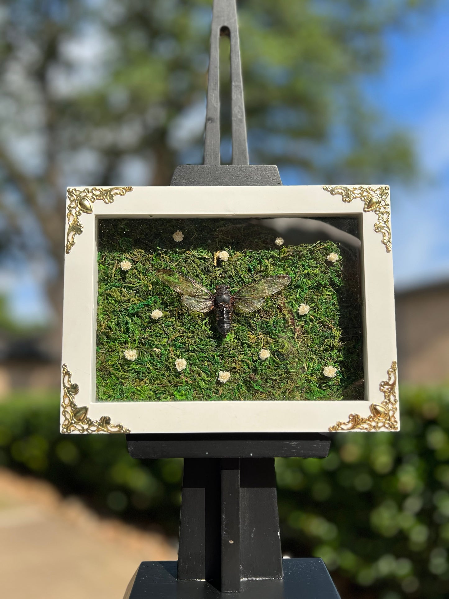 Death Blossom image 1