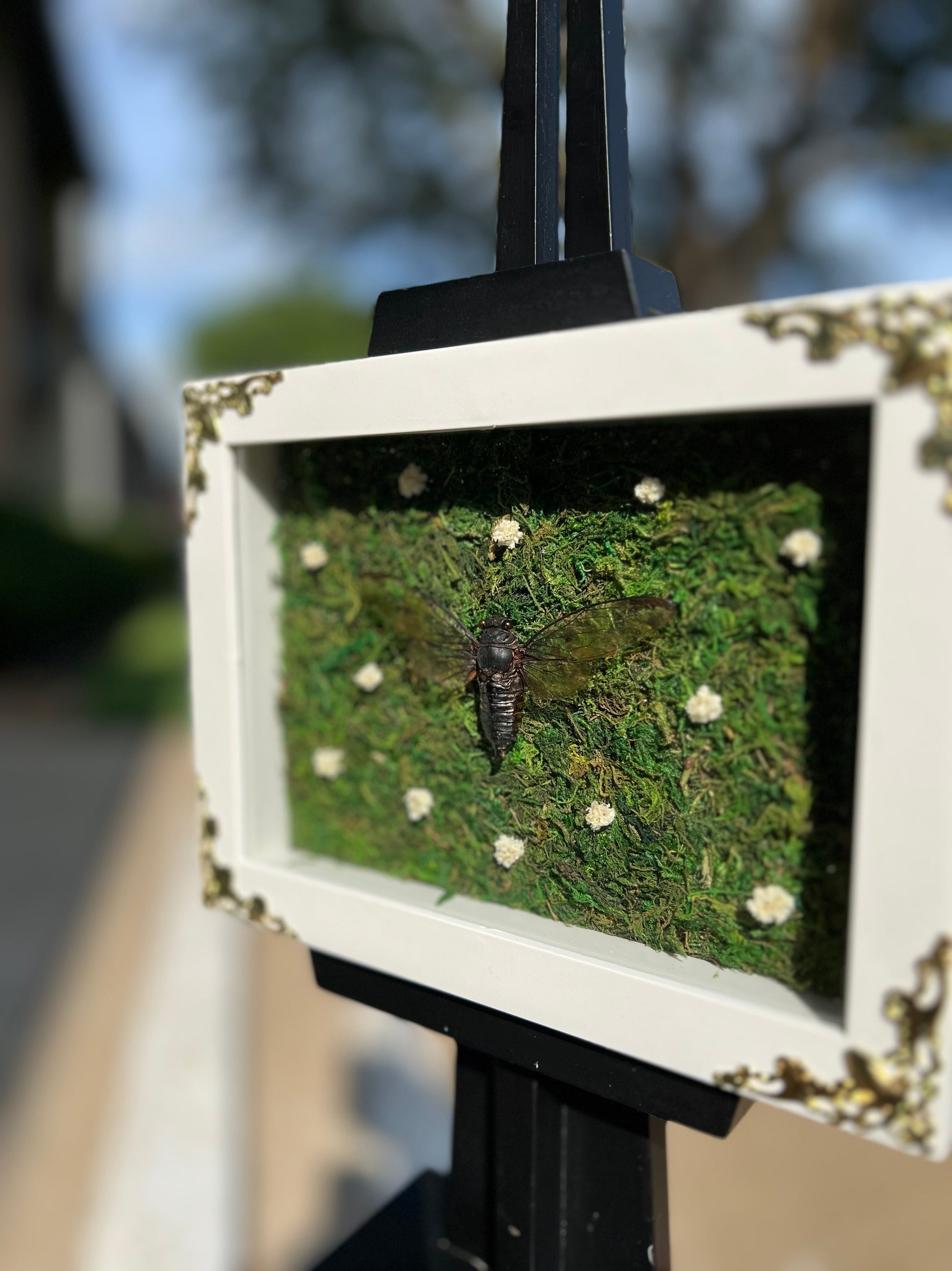 Death Blossom image 2