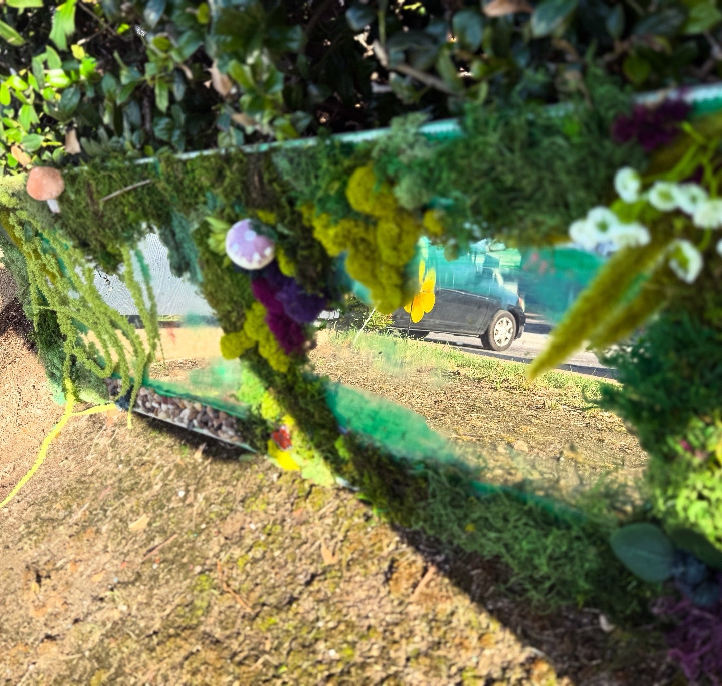 Forest Floor Oracle image 1